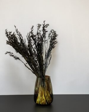 Havre Avena - Tørrede blomster - Billede 5