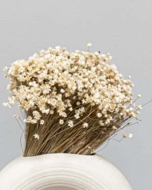 Marcela Naturell - Tørrede blomster - Billede 5