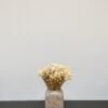 Forever Flora Dk