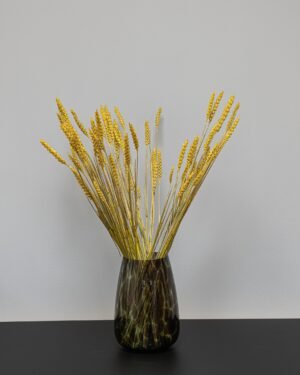 Hvede - tørrede blomster 24 Vete