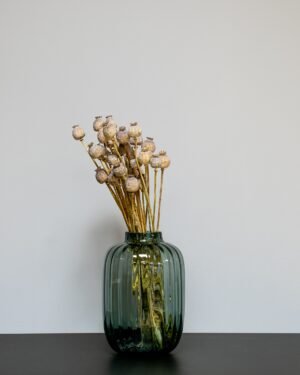 Tørret Valmue (Poppy) – Naturlige Frøkapsler (ca. 30 kapsler) - Billede 3