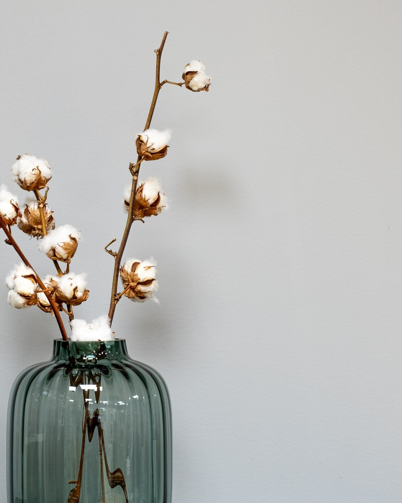 Forever Flora Dk