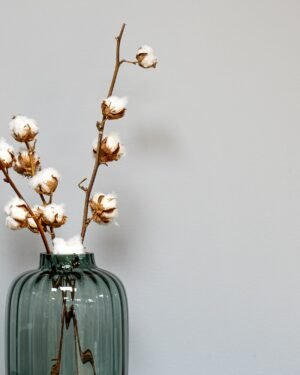 Naturlig bomuldsgrene (7-8 nøgler) - tørrede blomster - Billede 4