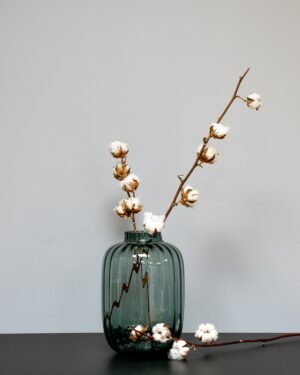 Naturlig bomuldsgrene (7-8 nøgler) - tørrede blomster - Billede 5