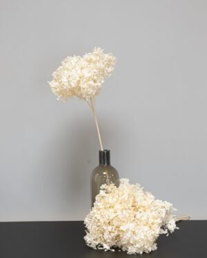 Eksklusiv Konserveret Hortensia Lang – Naturtro Evighedsblomst (60 cm) - Billede 3