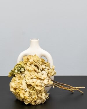 Hortensia Standard - konserverede blomster - Billede 7
