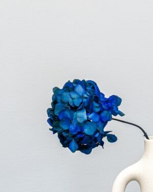 Hortensia Standard - konserverede blomster - Billede 10