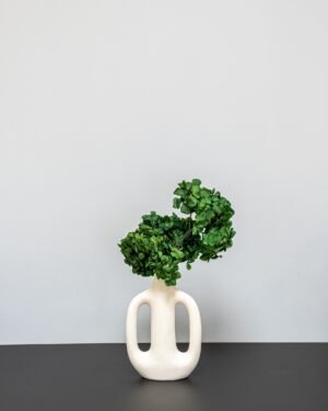 Hortensia Standard - konserverede blomster - Billede 4
