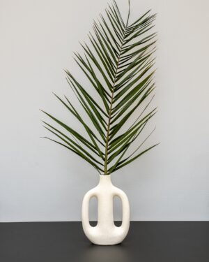 Phoenix Palm Grön - Konserverede planter - Billede 3