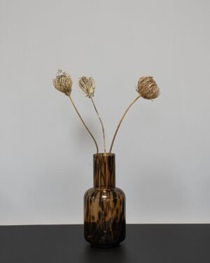 Ammi majus 5 stk. - Tørrede blomster - Billede 6