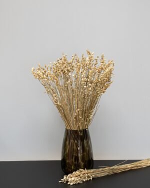 Briza - Tørrede blomster - Billede 3