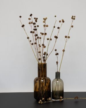 Callicarpa Natural - Tørrede blomster - Billede 3