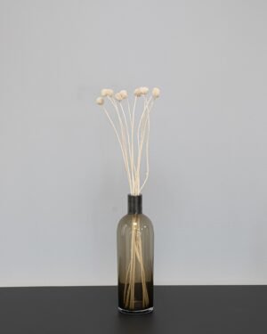 Craspedia/Solbold 10stk. - Tørrede blomster - Billede 4