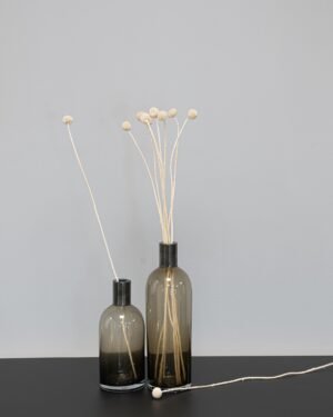Craspedia/Solbold 10stk. - Tørrede blomster - Billede 7