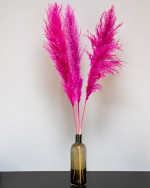 Fluffy Pampasgræs Super – Imponerende Evighedsgræs (110–120 cm) - 3st - Billede 5