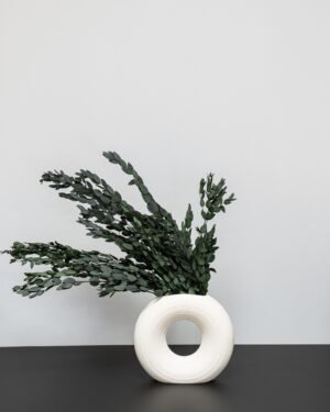 Eksklusiv Konserveret Eucalyptus Parvifolia – Naturtro Evighedsgrønt (50 cm) - Billede 3