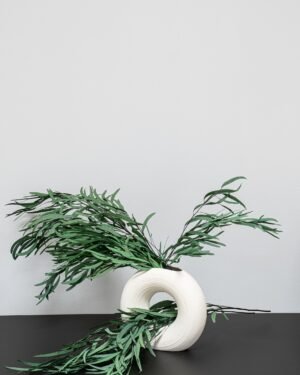 Exklusiv Konserverad Eucalyptus Nicoli – Naturtrogen Evighetsgrönska (50-60 cm) - Billede 6