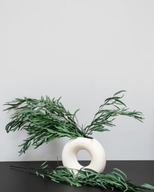 Exklusiv Konserverad Eucalyptus Nicoli – Naturtrogen Evighetsgrönska (50-60 cm) - Billede 5