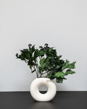 Eksklusiv Konserveret Efeu (Murreva Ivy) – Naturtro Evighedsgrønt (100g) - Billede 5