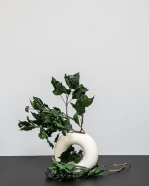 Eksklusiv Konserveret Efeu (Murreva Ivy) – Naturtro Evighedsgrønt (100g) - Billede 6