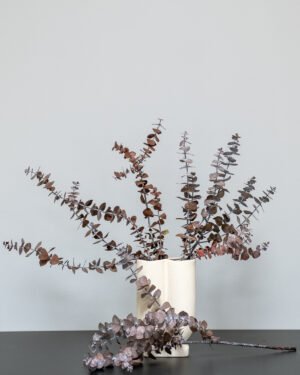 Eksklusiv Konserveret Eucalyptus Baby Blue – Naturtro Evighedsplante (50-60 cm) - Billede 5
