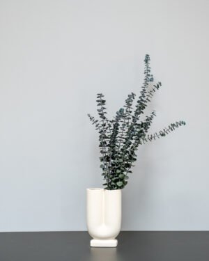 Eksklusiv Konserveret Eucalyptus Baby Blue – Naturtro Evighedsplante (50-60 cm) - Billede 4