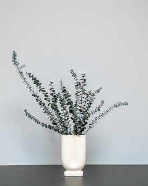 Eksklusiv Konserveret Eucalyptus Baby Blue – Naturtro Evighedsplante (50-60 cm) - Billede 3