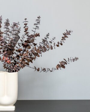 Eksklusiv Konserveret Eucalyptus Baby Blue – Naturtro Evighedsplante (50-60 cm) - Billede 7