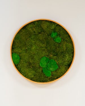 Alternative view of Cirkulært Mosbillede – Mix Mosplade & Kuglemos - Plantevæg