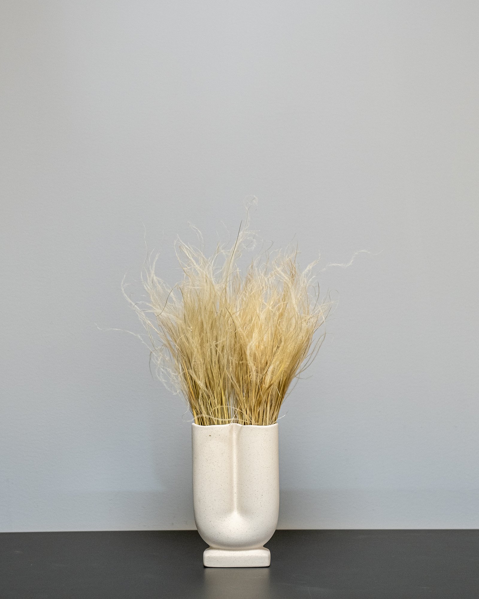 Fjergræs - Stipa Pennata Naturlig - Tørrede blomster 1 Fjergræs