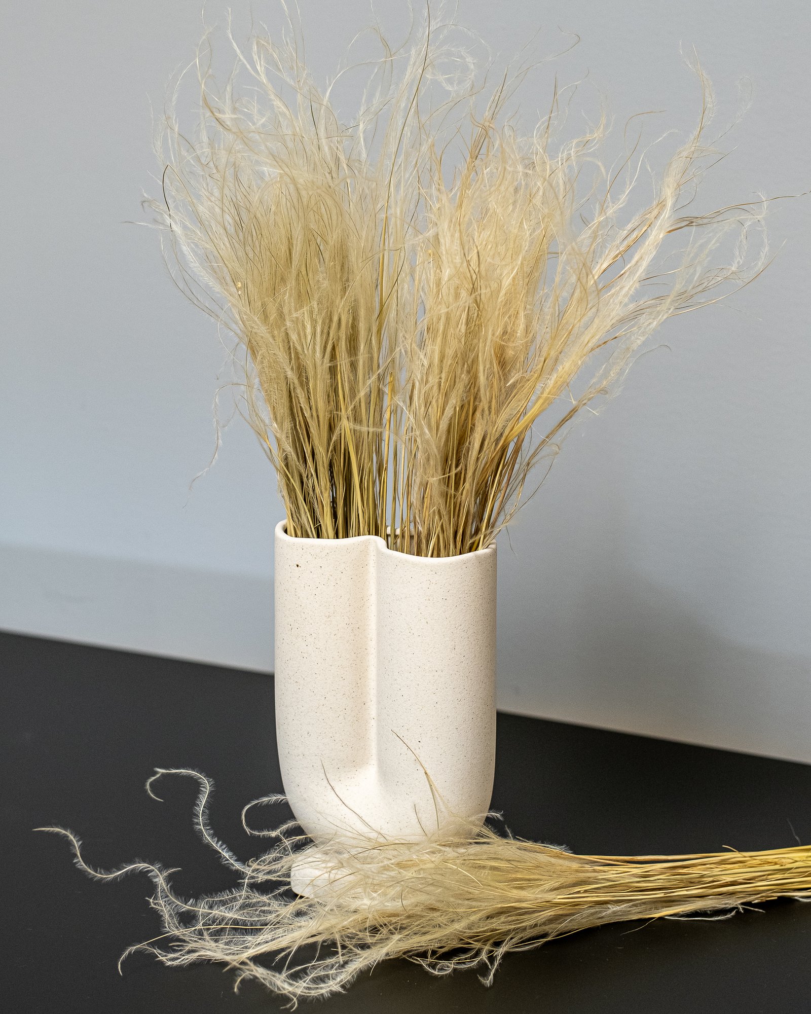 Fjergræs - Stipa Pennata Naturlig - Tørrede blomster 3 Fjergræs - Stipa Pennata Naturlig - Tørrede blomster - Billede 3