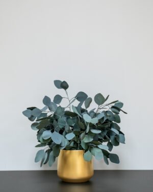Eksklusiv Konserveret Eucalyptus Populus Potteplante – Naturtro Skønhed (70 cm) - Billede 5