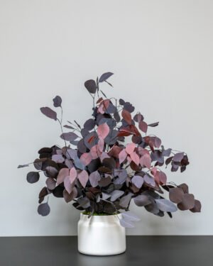 Eksklusiv Konserveret Eucalyptus Populus Potteplante – Naturtro Skønhed (70 cm) - Billede 8