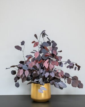 Eksklusiv Konserveret Eucalyptus Populus Potteplante – Naturtro Skønhed (70 cm) - Billede 4