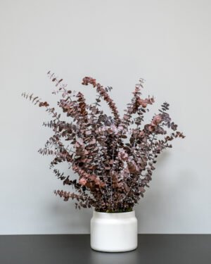 Alternative view of Eksklusiv Konserveret Eucalyptus Baby Blue Potteplante – Naturtro Design (60/80 cm)