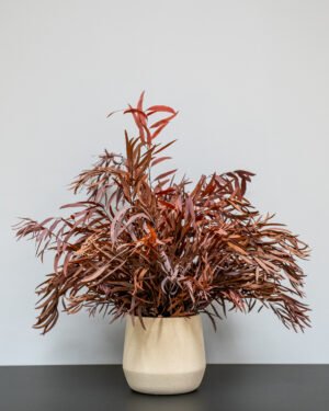 Eksklusiv Konserveret Eucalyptus Nicoli Potteplante – Naturtro Design (60/80 cm) - Billede 5