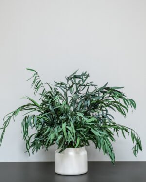 Eksklusiv Konserveret Eucalyptus Nicoli Potteplante – Naturtro Design (60/80 cm) - Billede 4