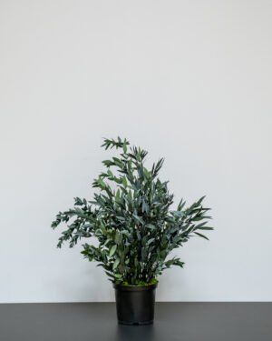 Eksklusiv Konserveret Parvifolia – Vedligeholdelsesfri Evighedsplante (60/80 cm) - Billede 3