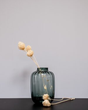 Ammi majus 5 stk. - Tørrede blomster - Billede 5