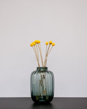 Craspedia/Solbold 10stk. - Tørrede blomster - Billede 8
