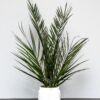 Konserveret Palme Potteplante