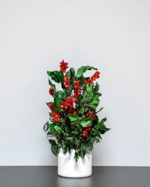 Eksklusiv Konserveret Ivy Ruberia Rød – Vedligeholdelsesfri Plante (60 cm) - Billede 2