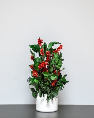 Eksklusiv Konserveret Ivy Ruberia Rød – Vedligeholdelsesfri Plante (60 cm) - Billede 3