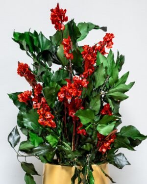 Eksklusiv Konserveret Ivy Ruberia Rød – Vedligeholdelsesfri Plante (60 cm) - Billede 5
