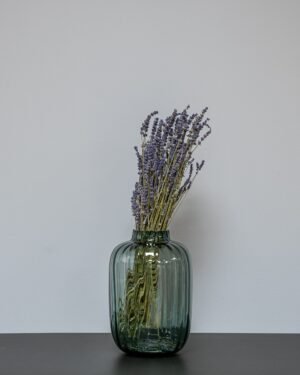 Tørret Lavendel (100g) – Naturlig Duft & Tidløs Elegance (50-60 cm) - Billede 2