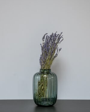 Tørret Lavendel (100g) – Naturlig Duft & Tidløs Elegance (50-60 cm) - Billede 3