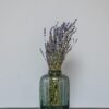 Tørret Lavendel