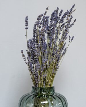 Tørret Lavendel (100g) – Naturlig Duft & Tidløs Elegance (50-60 cm) - Billede 4