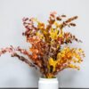 Vedligeholdelsesfri Eucalyptus Stuartiana