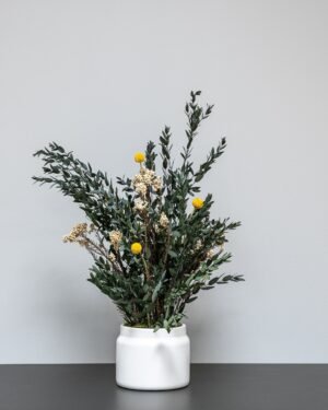 Vedligeholdelsesfri Potteplante - Konserveret Sommer Parvifolia - Billede 2
